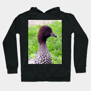 Australian Wood Duck Hoodie